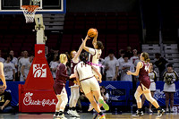 Basketball - Girls - AA State Semifinal - Wheeling Central vs Williamstown
